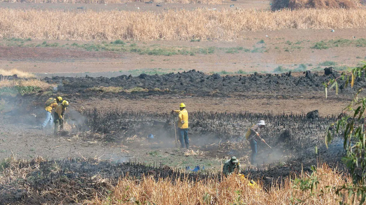 970229_Incendio Pastizales Naucalpan-11_web